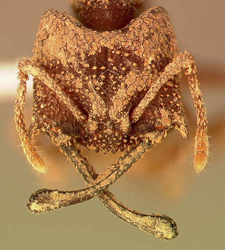 25_mystrium.jpg