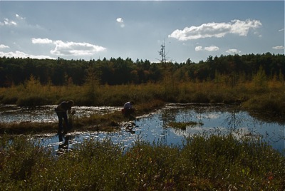 Liz and Manu searching for aquatic insects (Photo: Chris Baker)