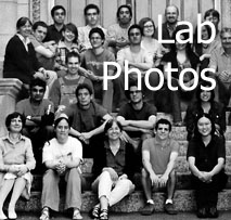 Pierce Lab