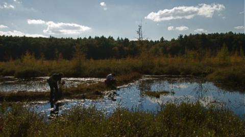Liz and Manu searching for aquatic insects (Photo: Chris Baker)