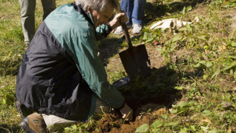 Rod Eastwood excavating an ant nest (Photo: Chris Baker)