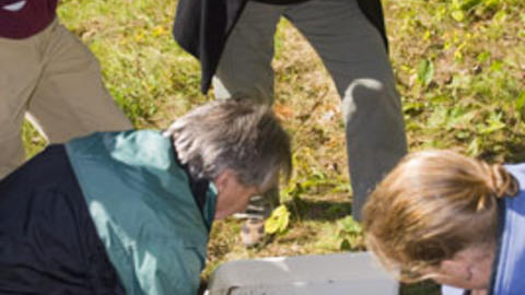 Rod Eastwood sorting through material as he excavates an ant nest (Photo: Chris Baker)