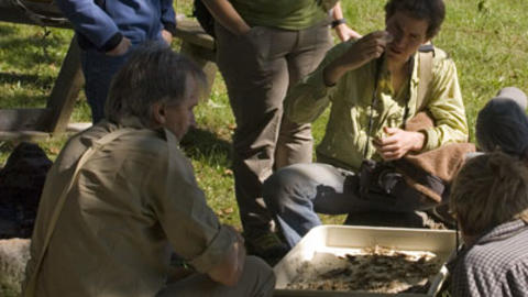 Gabe Miller and Rod Eastwood examine material from an ant nest (Photo: Chris Baker)