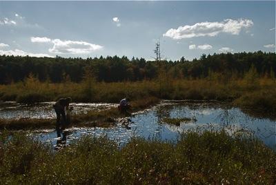 Liz and Manu searching for aquatic insects (Photo: Chris Baker)