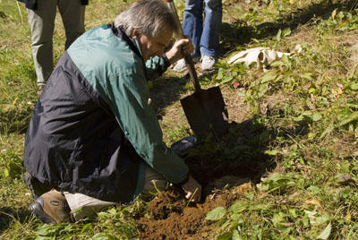Rod Eastwood excavating an ant nest (Photo: Chris Baker)
