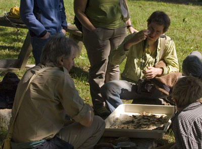 Gabe Miller and Rod Eastwood examine material from an ant nest (Photo: Chris Baker)